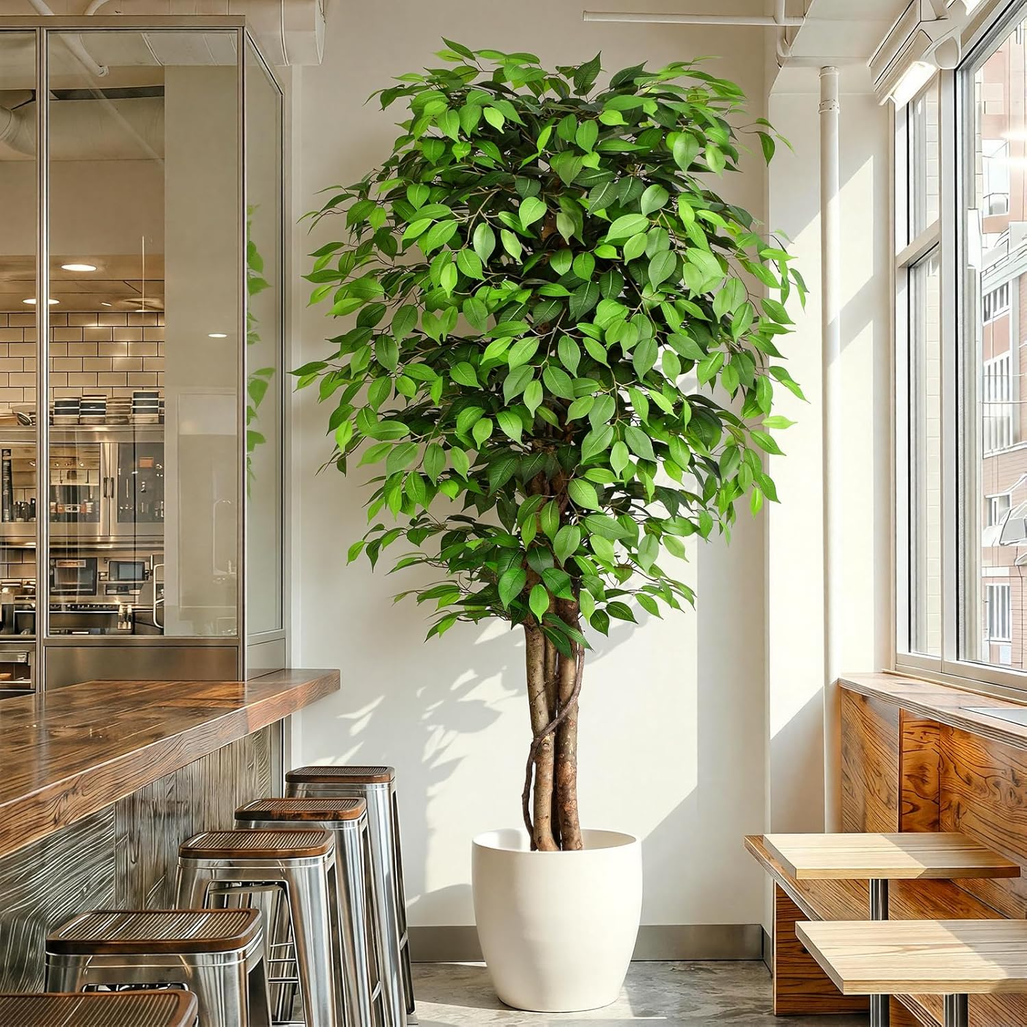 Ficus Lyrata Tree - Gerçekçi Yapay Ficus Ağacı, Doğal Gövde