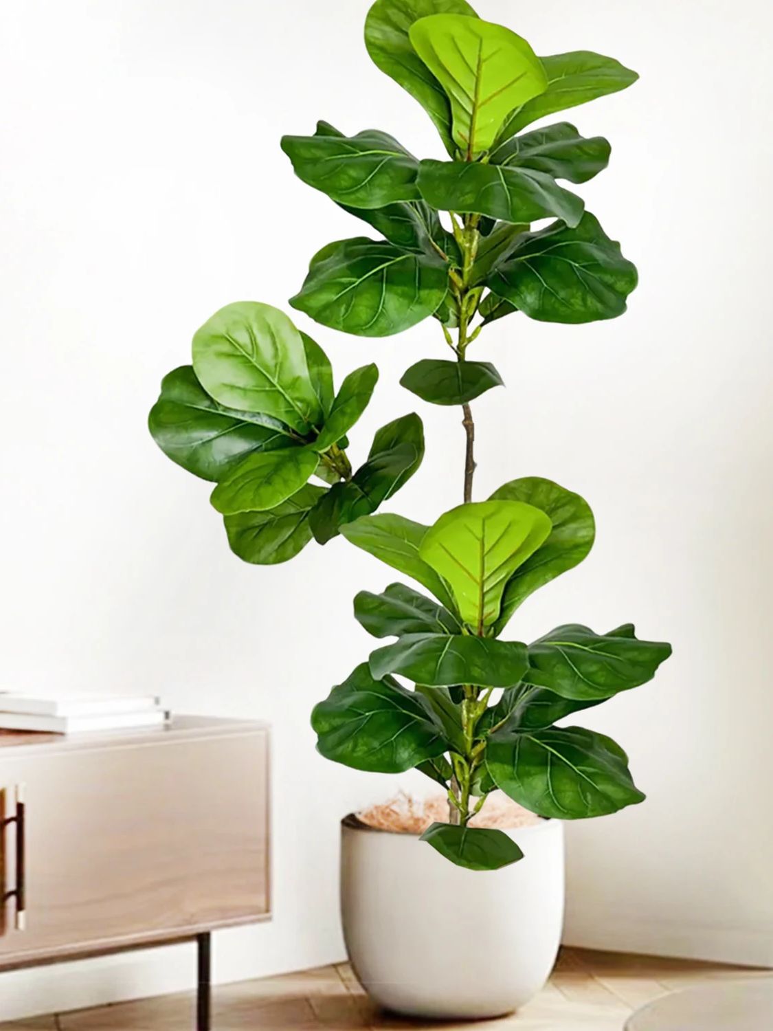 45-135cm Yapay Fiddle Leaf Fig - Ficus Lyrata Tree incelemesi ve fiyatı