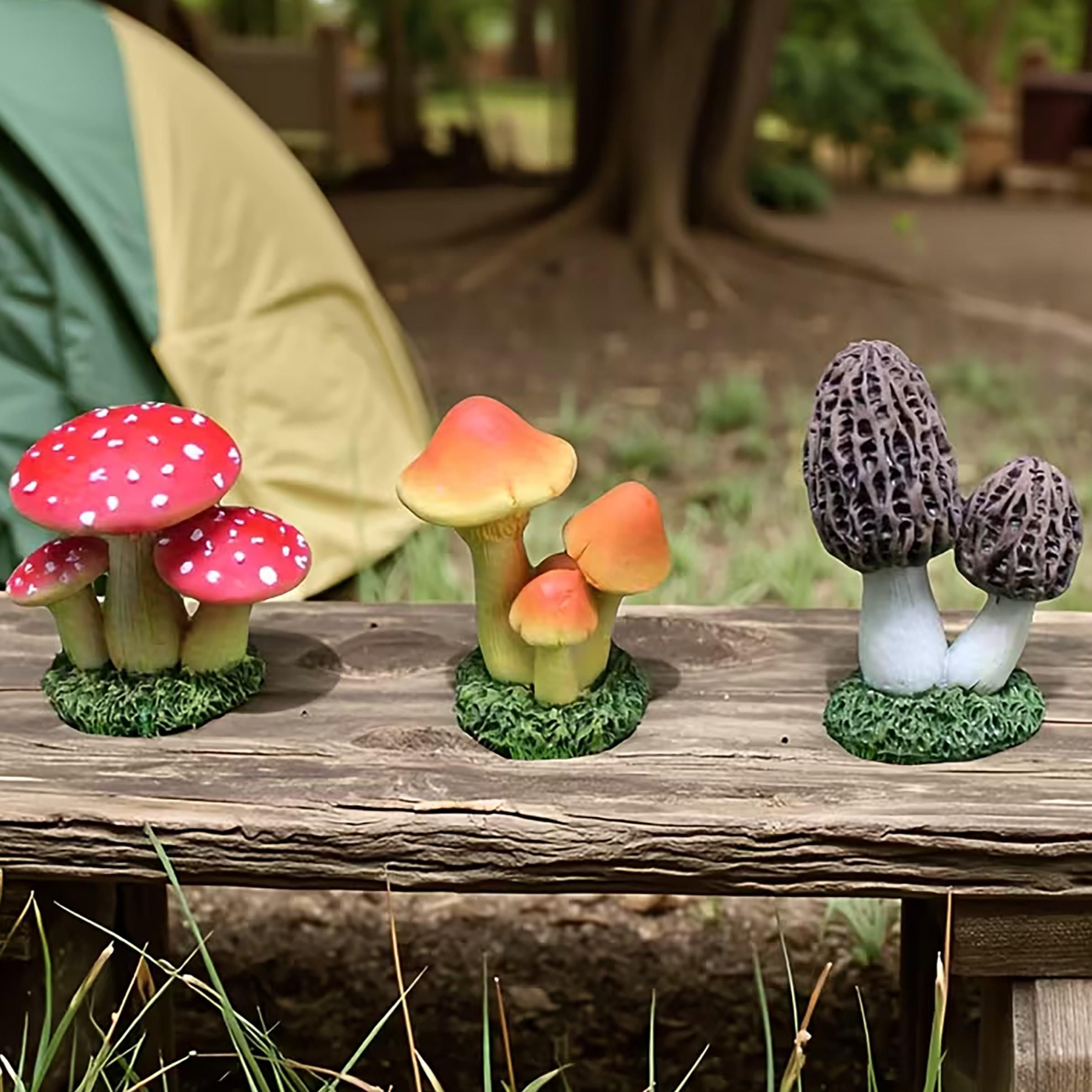 1 takım 3 adet yapay mantar sü - Echeveria Succulent incelemesi ve fiyatı