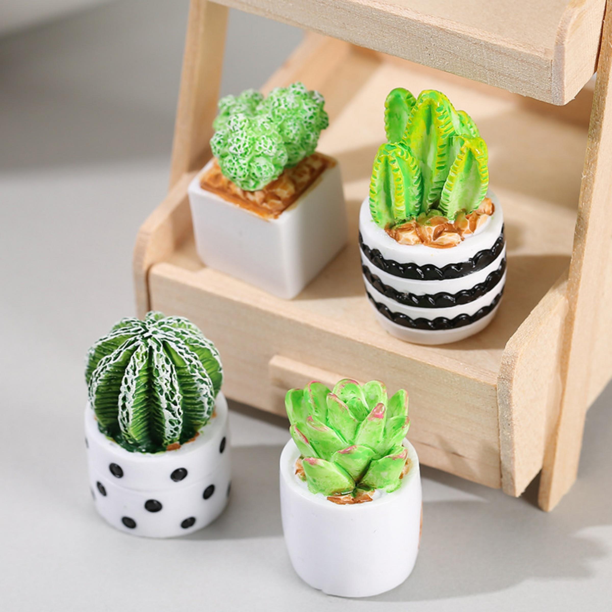 4 Parçalı Kaktüs Sukulent Saks - Echeveria Succulent incelemesi ve fiyatı